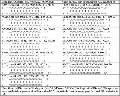 Identification of Bovine miRNAs with the Potential to Affect Human Gene Expression